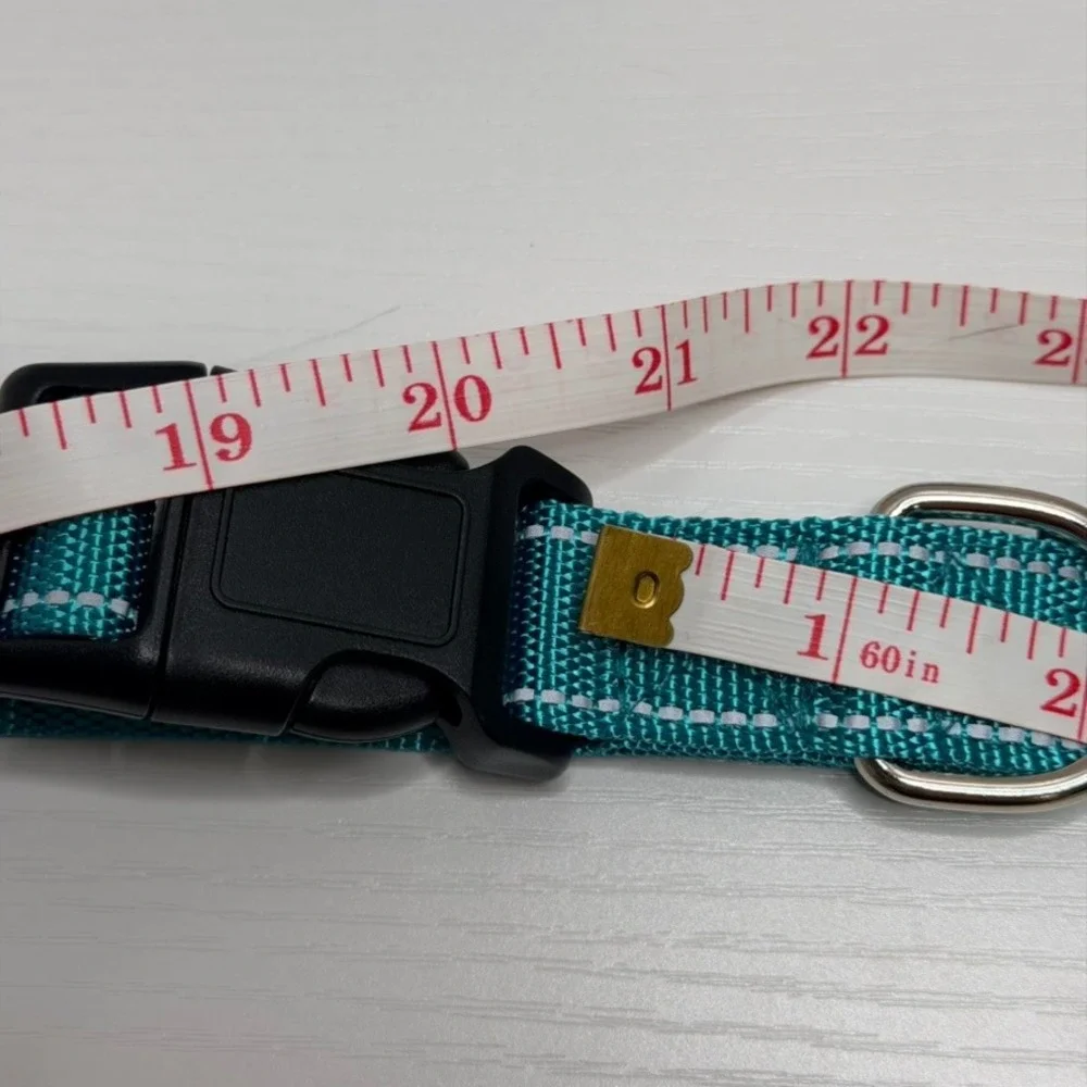 NEW 2 Pack Reflective Safety Dog Collars Teal Green Adjustable Medium Set